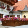 Restaurant Landgasthof Fally in Kirchberg (Tirol / Kitzbhel)]
