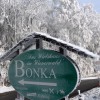 Restaurant Bonka - Das Wirtshaus im Wienerwald in Oberkirchbach (Niedersterreich / Tulln)]