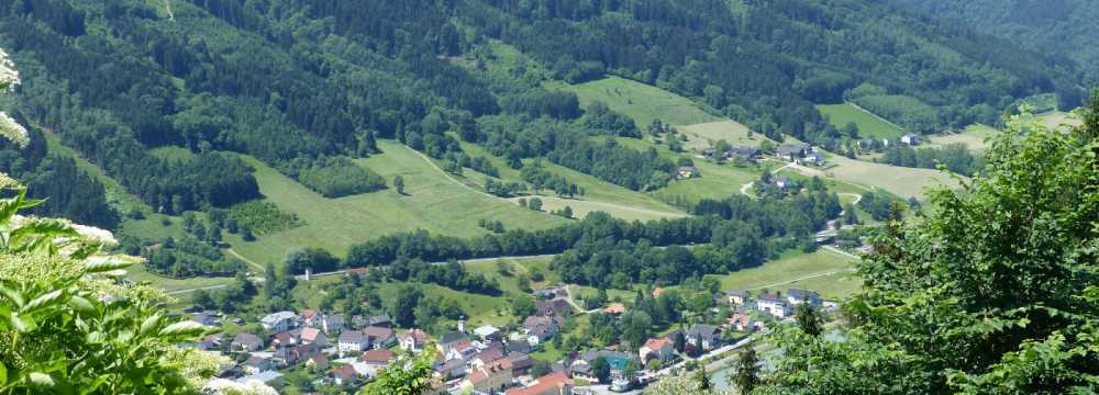 Gasthof zum Schiffmeister in Wesenufer 19