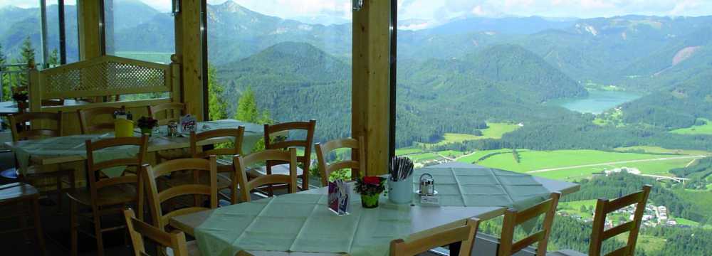 Mariazeller B�rgeralpe Seilbahnbetriebs GmbH in Mariazell