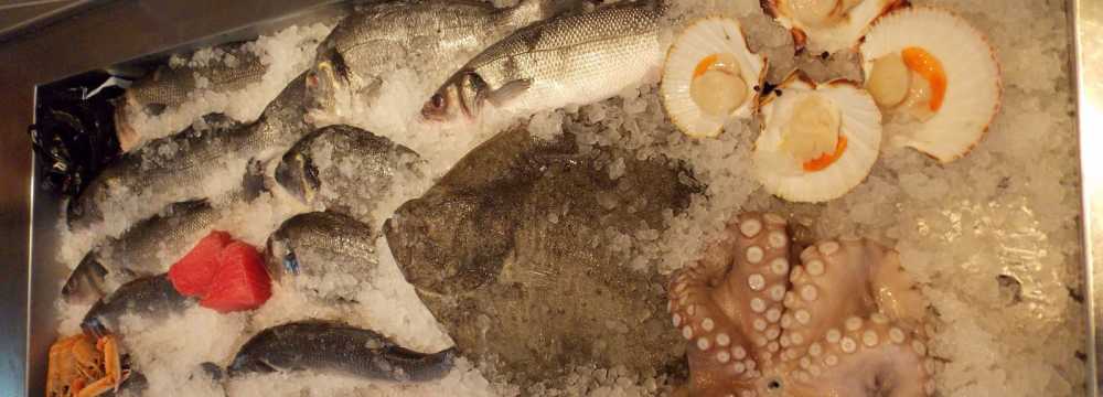 AURELIUS Restaurant & Weinbar in Wien