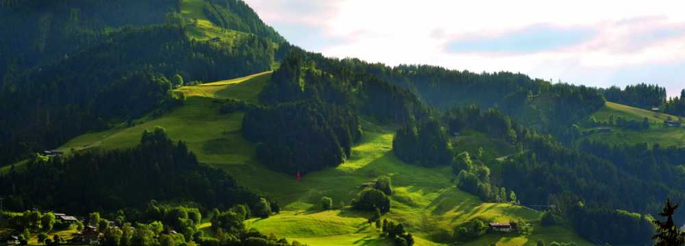 Restaurants in Kitzbhel: Chizzo Refined