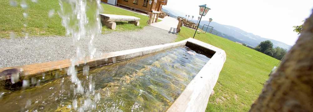 Bratlalm in Wenigzell