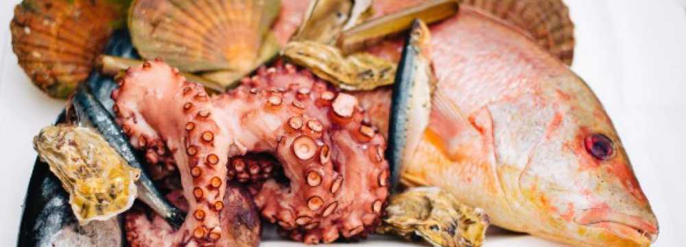 Sezai Fisch(T)raum Fisch & Meeresfr�chte Restaurant  in Wien 