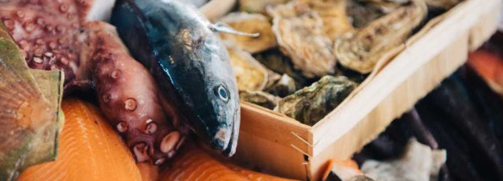 Sezai Fisch(T)raum Fisch & Meeresfr�chte Restaurant  in Wien 