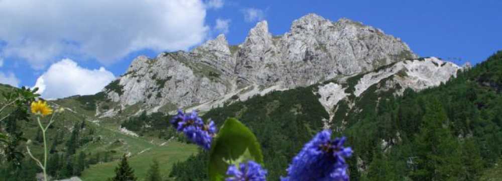 Ferienwohnung Appartment Plozner K�rnten �sterreich  in Hermagor
