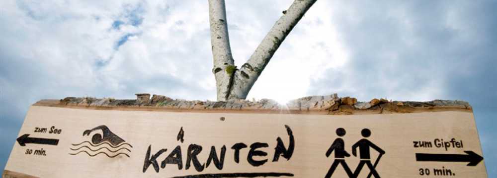 Ferienwohnung Appartment Plozner K�rnten �sterreich  in Hermagor
