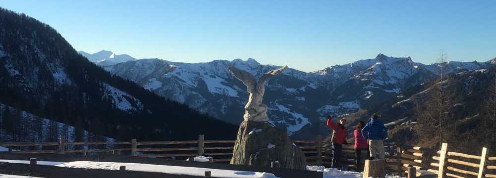 Loosb�helalm in Gro�arl