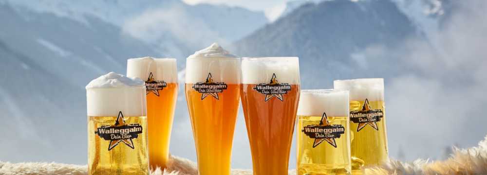 Walleggalm GmbH in Saalbach-Hinterglemm