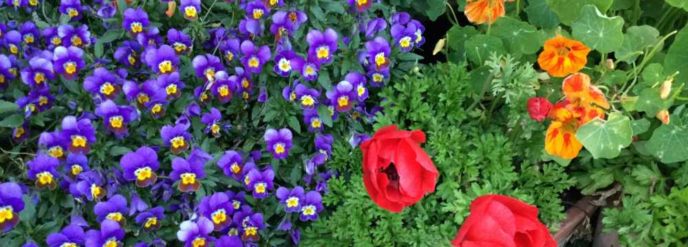 Millst�tter H�tte in Schwaigerschaft