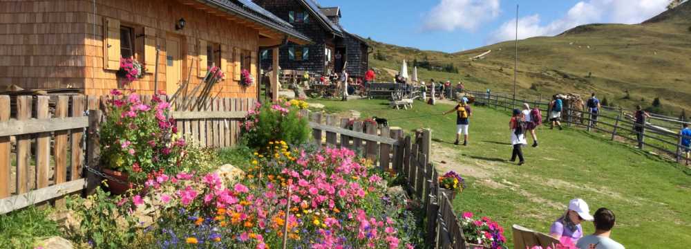 Millst�tter H�tte in Schwaigerschaft
