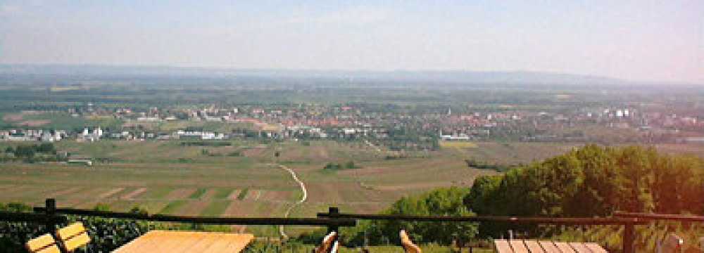 GUMPOLDSKIRCHNER VEIGL-H�TTE in Gumpoldskirchen