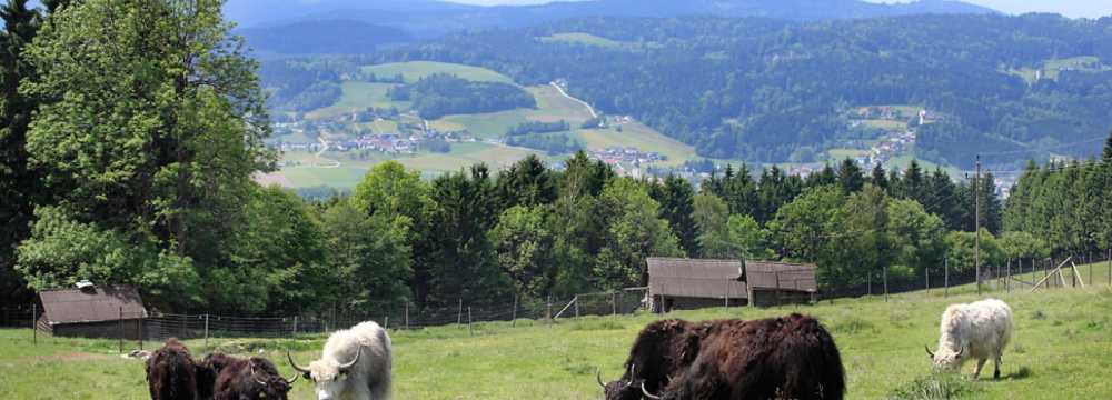 Landhotel Haagerhof in Aigen-Schl�gl