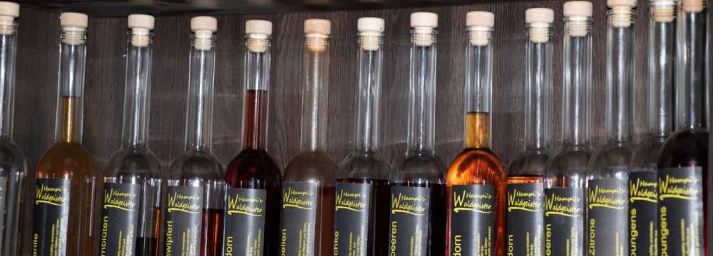 Hampis Gasthof in W�rflach