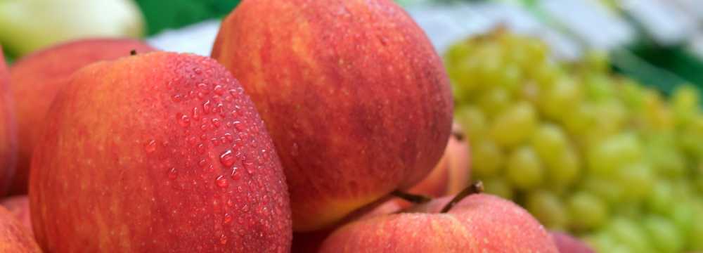 bioFIEDLER Biomarkt Fiedler GmbH. in Wiener Neustadt