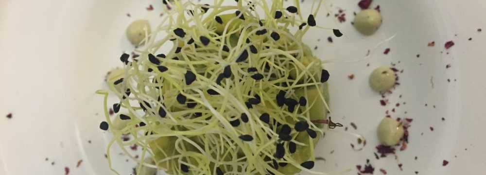 Edelsberger in Baden