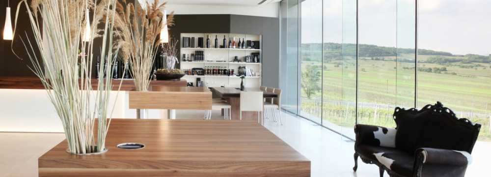 Leo Hillinger GmbH in Jois