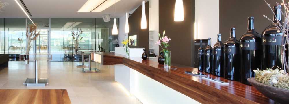 Leo Hillinger GmbH in Jois