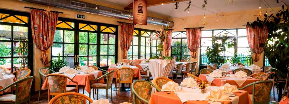 Restaurants in Wien: SH Gastrobetriebs  GmbH