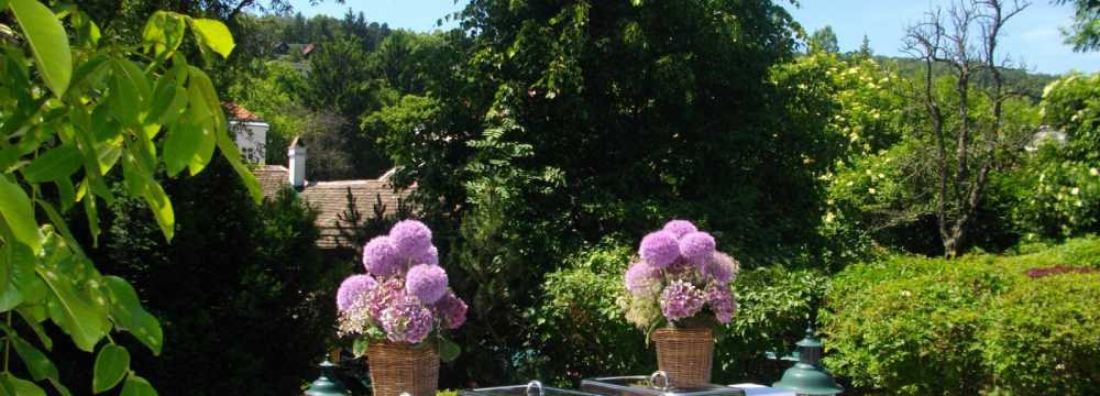 Restaurants in Wien: Das Schreiberhaus