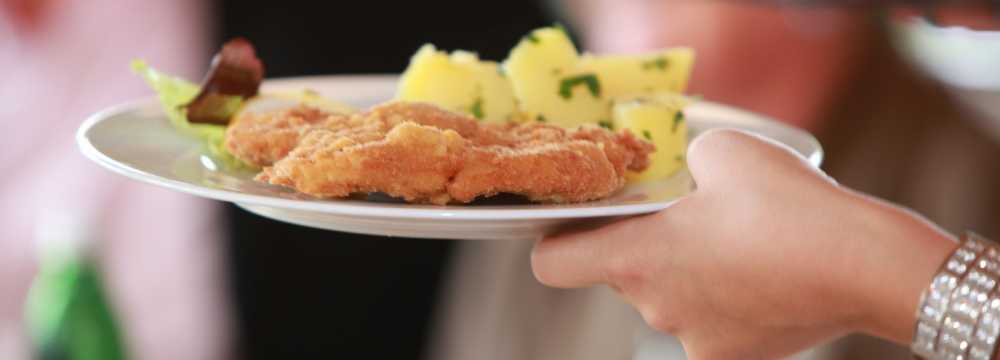 Weingut Schachl Christine und Harald in Bad Vslau