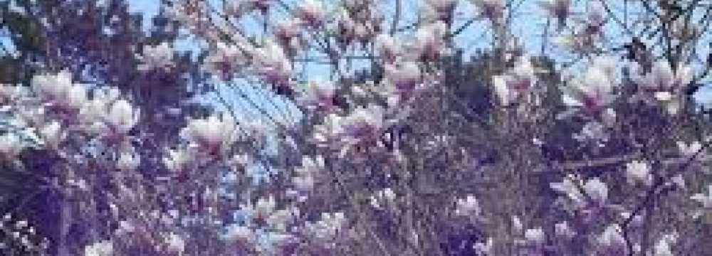 Kultur- und SPORTHOTEL ' Zu GEZENDORFF ' in Gtzendorf An Der Leitha