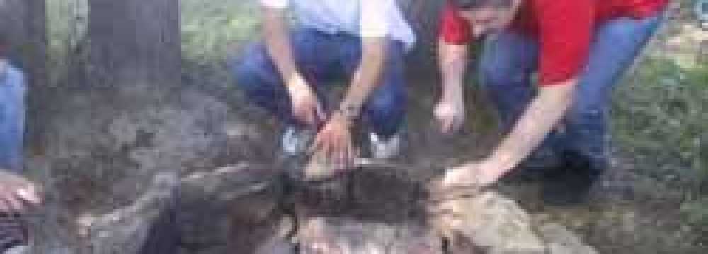 Kultur- und SPORTHOTEL ' Zu GEZENDORFF ' in Gtzendorf An Der Leitha