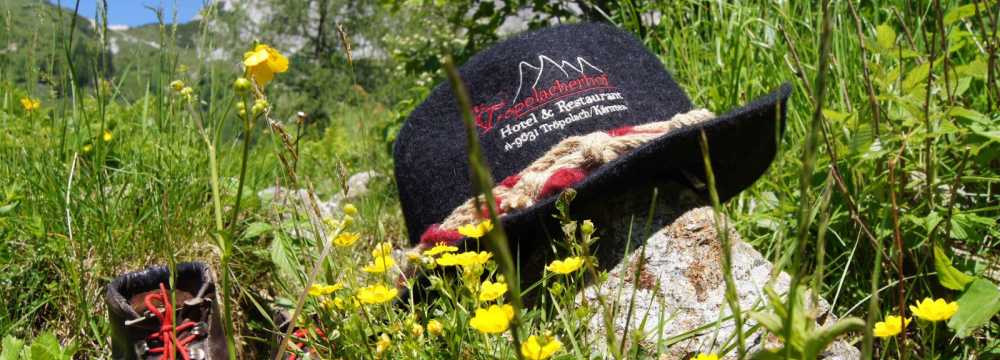 Der Tr�polacherhof Hotel & Restaurant in Tr�polach