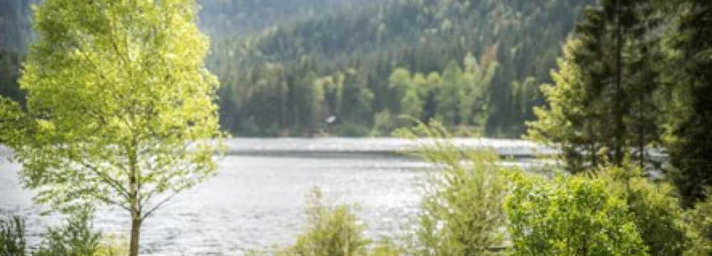 Genuss Gasthaus Kohlrserlhtte in Bad Aussee