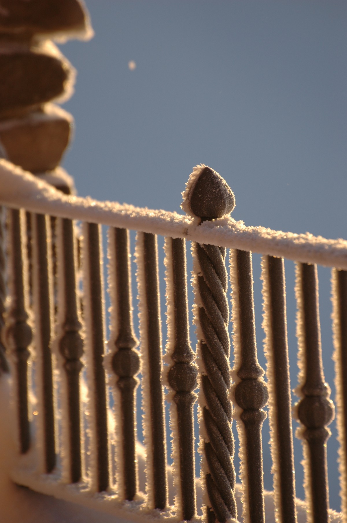 WINTER OPENING