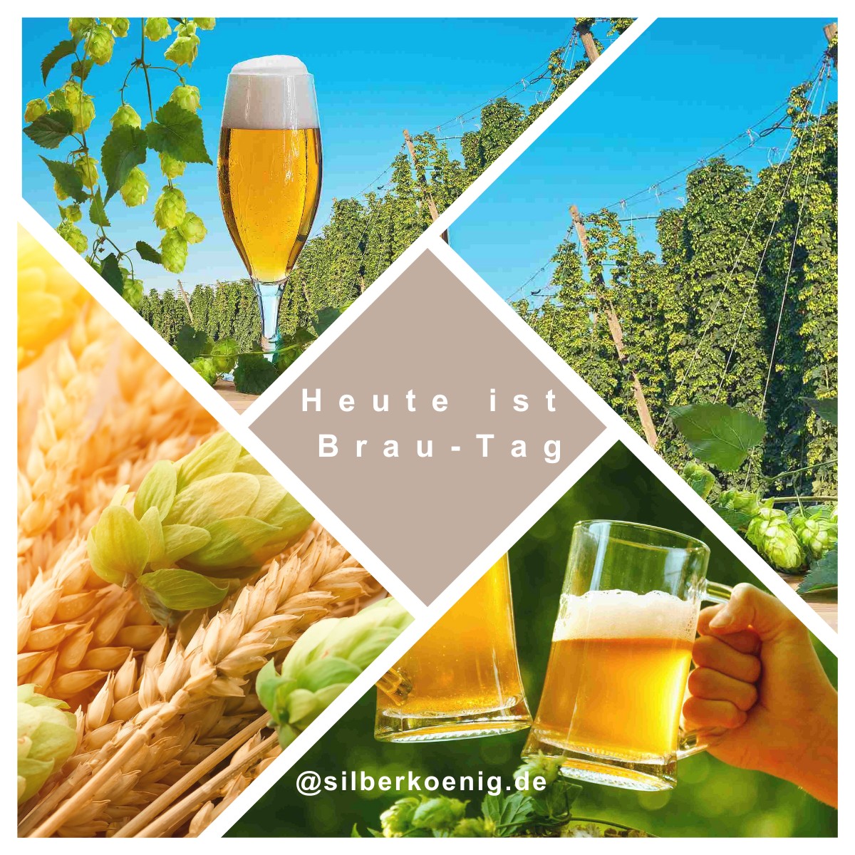 Aus der Silberkönig-Brauerei