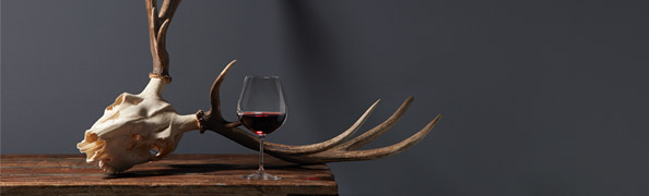 «WILD UND WEIN»