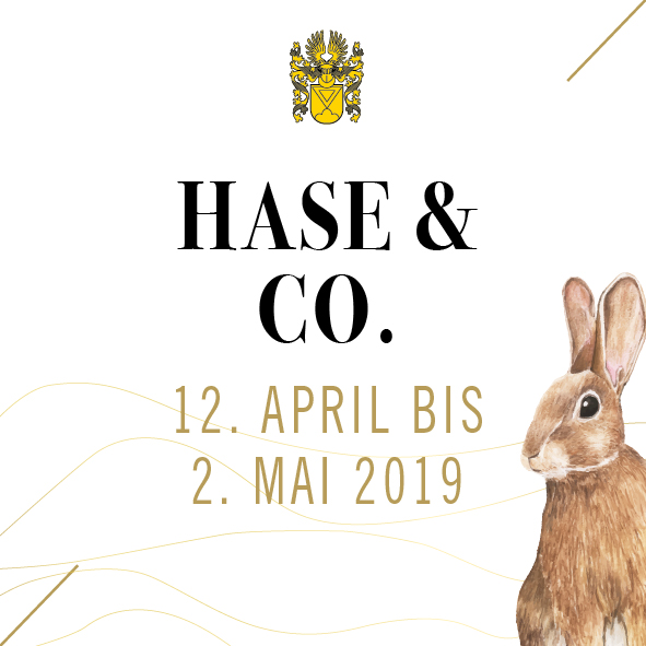 Hase & Co