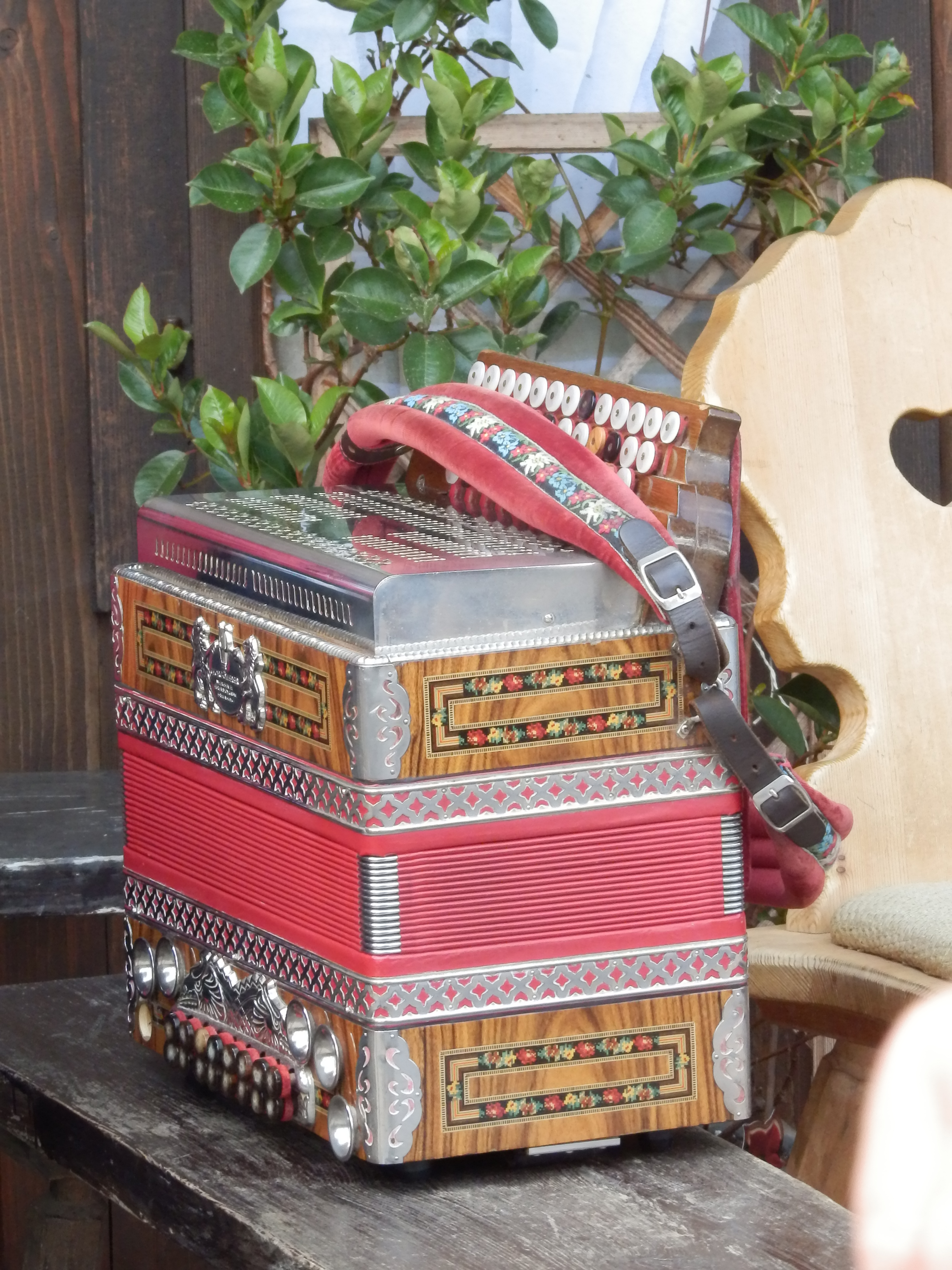 Holunderblütenfest