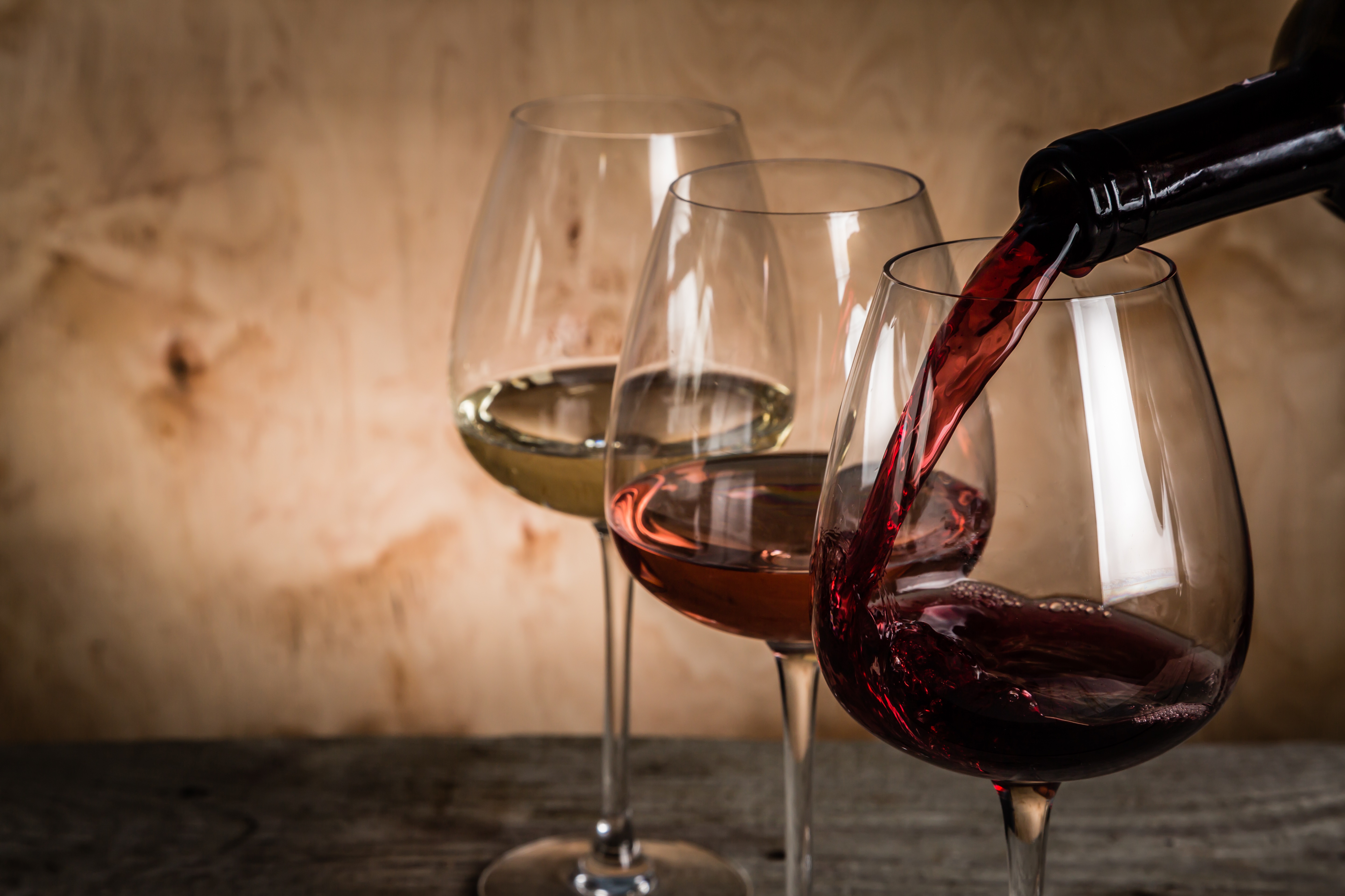 «GENERATION WEIN» - junge wilde Winzer