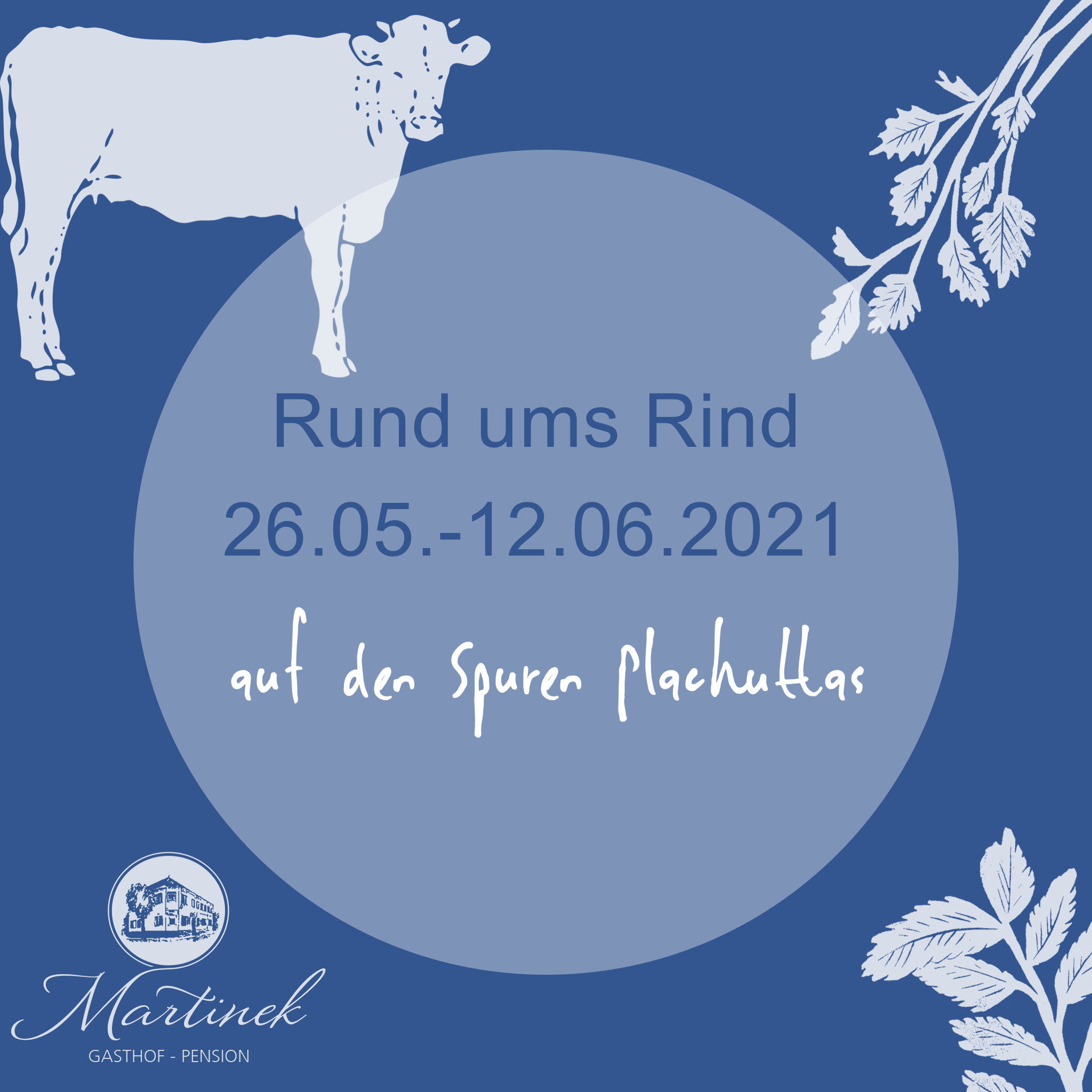Rund ums Rind