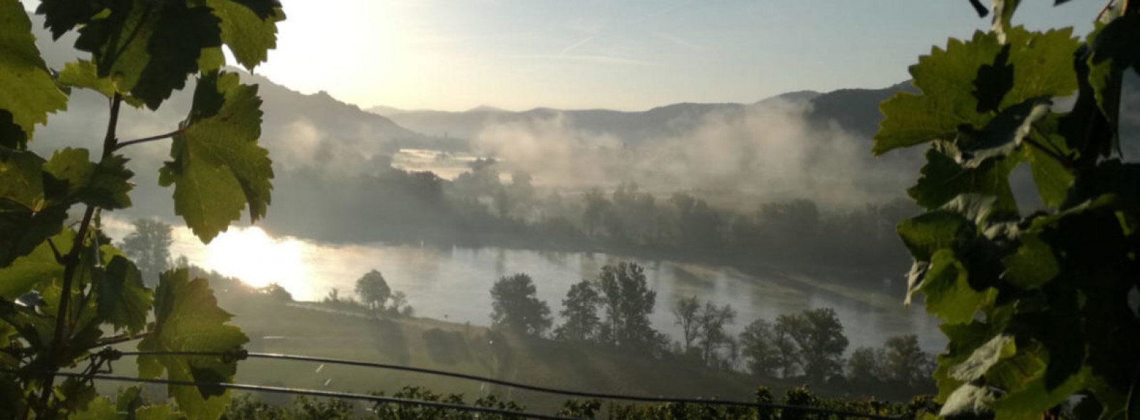 Heurigen Graf Unterloiben  in Durnstein, Foto 2
