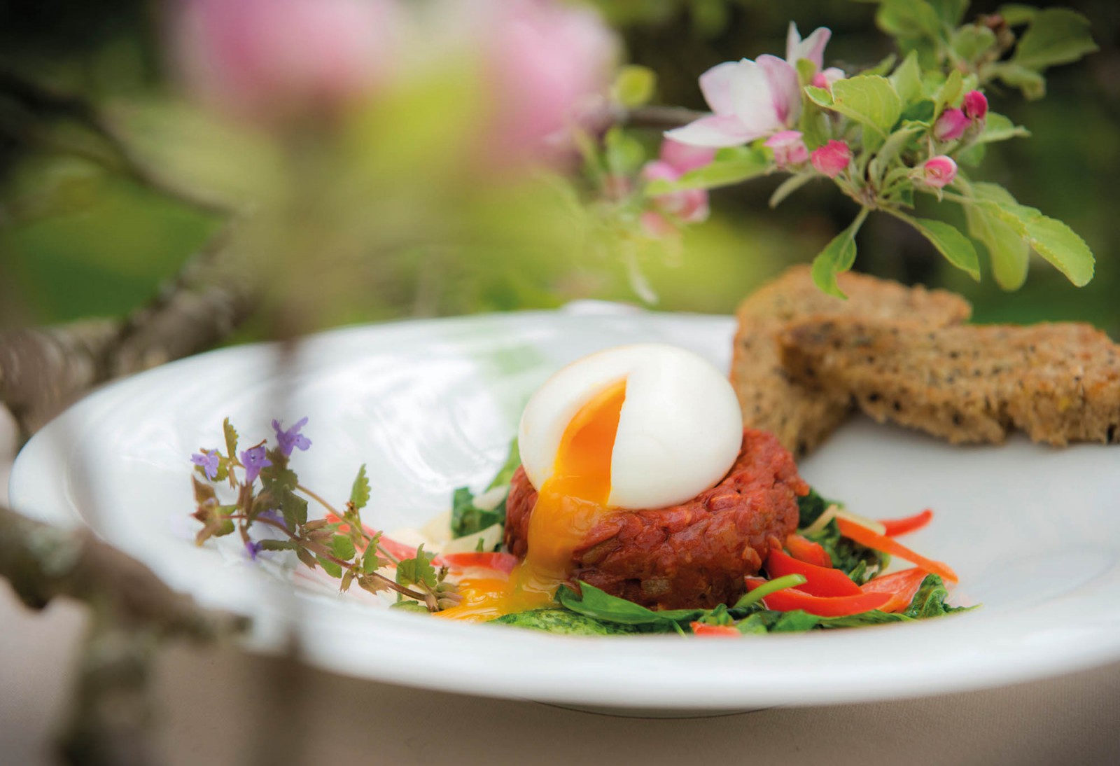 RETTER Bio-Natur-Resort Restaurant in Pöllauberg, Foto 4