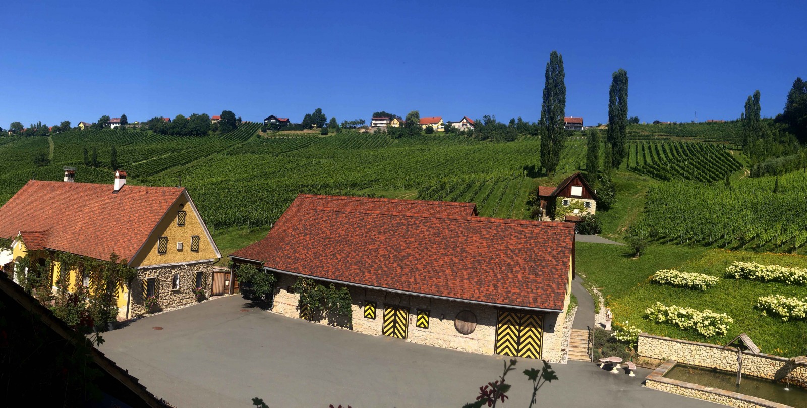 Weingut Georgiberg in Berghausen, Foto 1