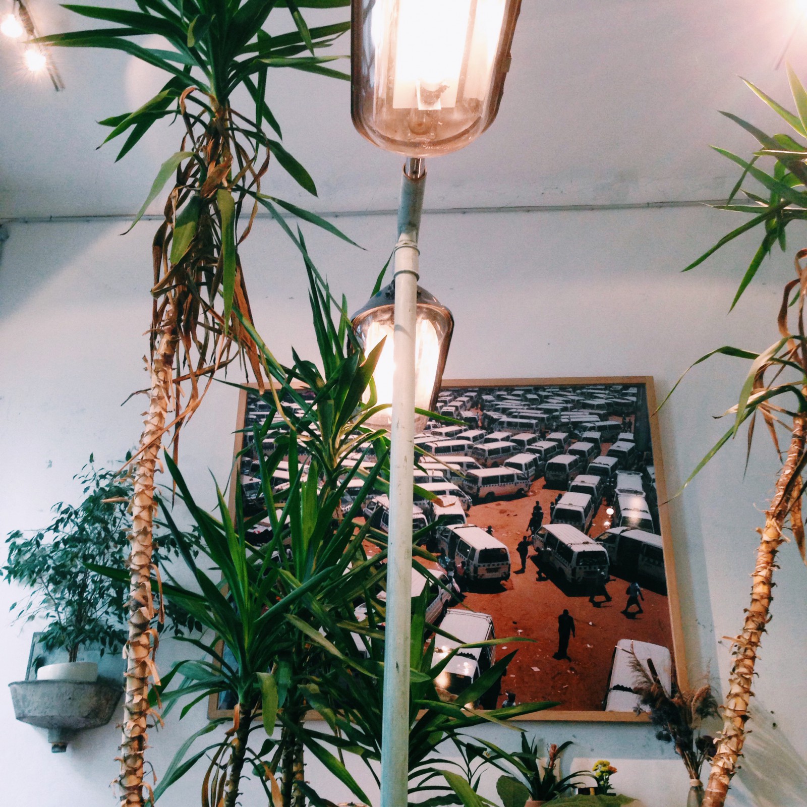 Cafè in der Burggasse24 in Wien, Foto 1