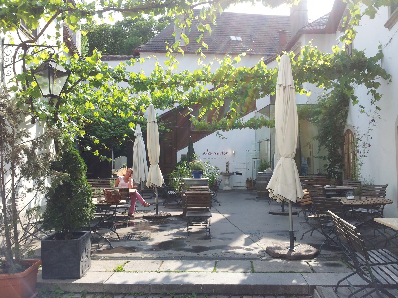Restaurant Alexander in Perchtoldsdorf, Foto 5