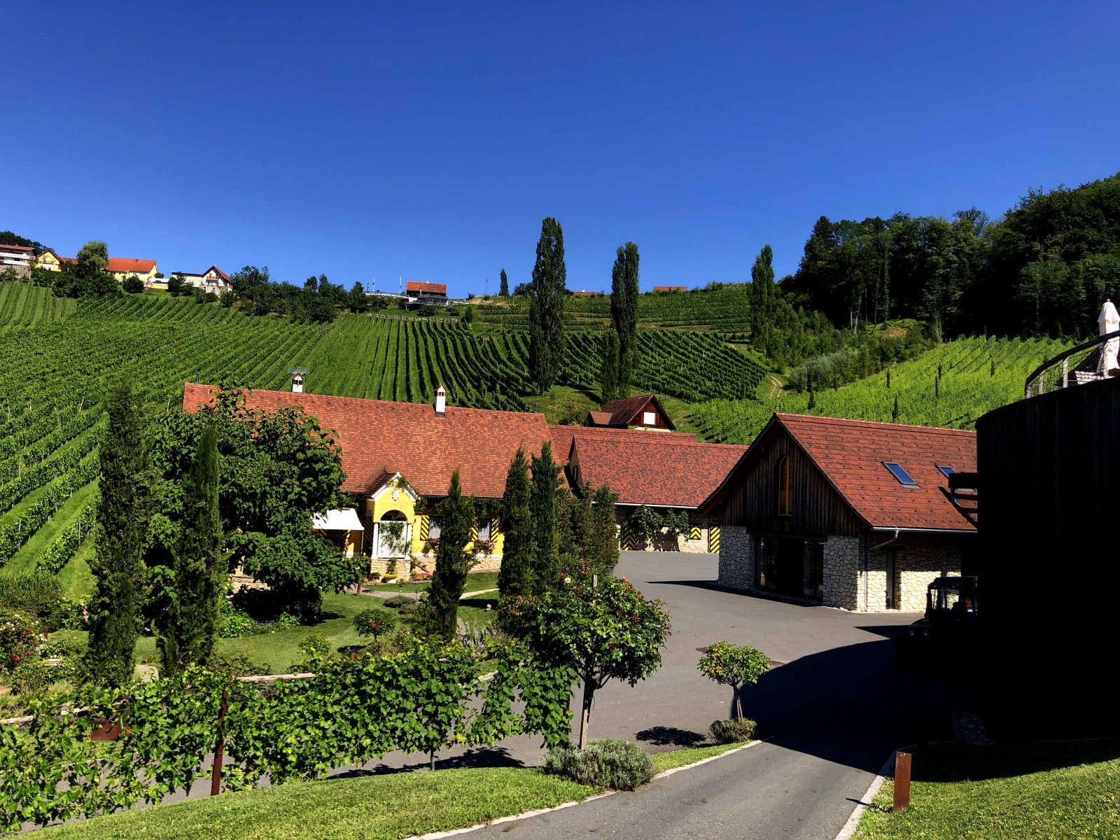 Weingut Georgiberg in Berghausen, Foto 7