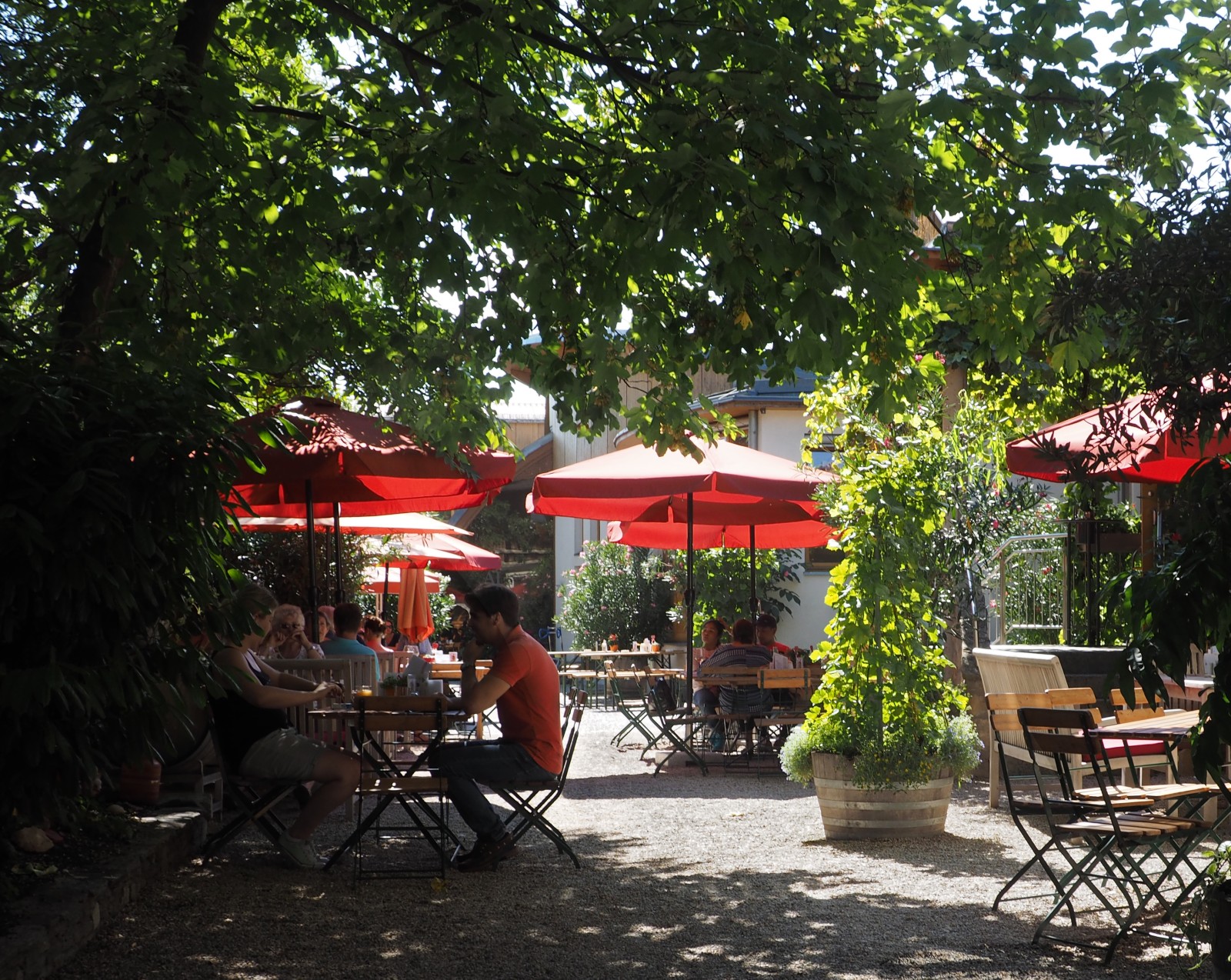 Weingut Familie Auer in Tattendorf, Foto 8
