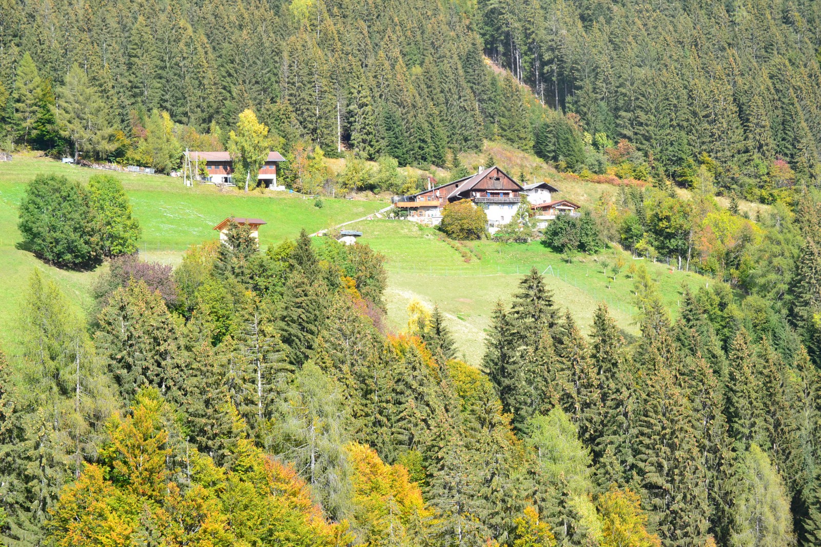 Panoramagasthof Glader in Oberdrauburg, Foto 5