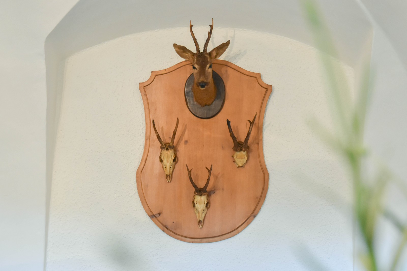 Harrachkeller Schloss Prugg in Bruck an der Leitha, Foto 3