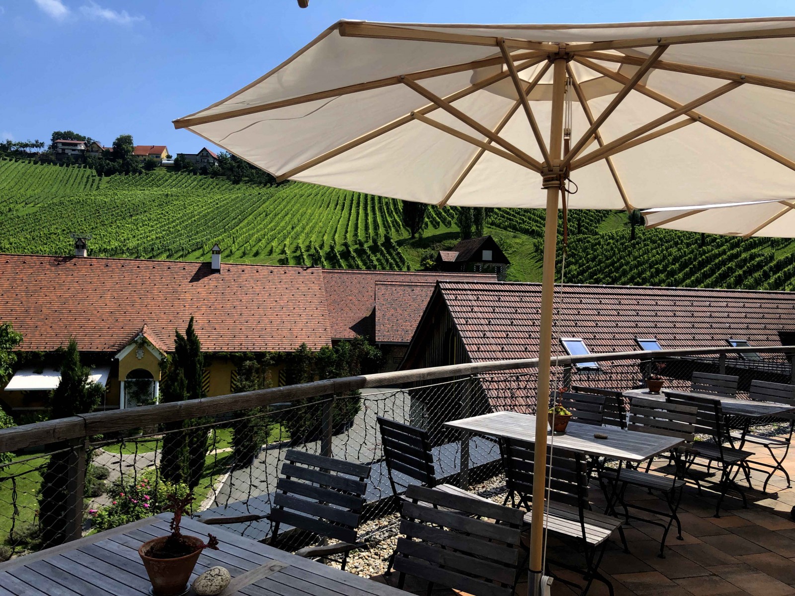 Weingut Georgiberg in Berghausen, Foto 11