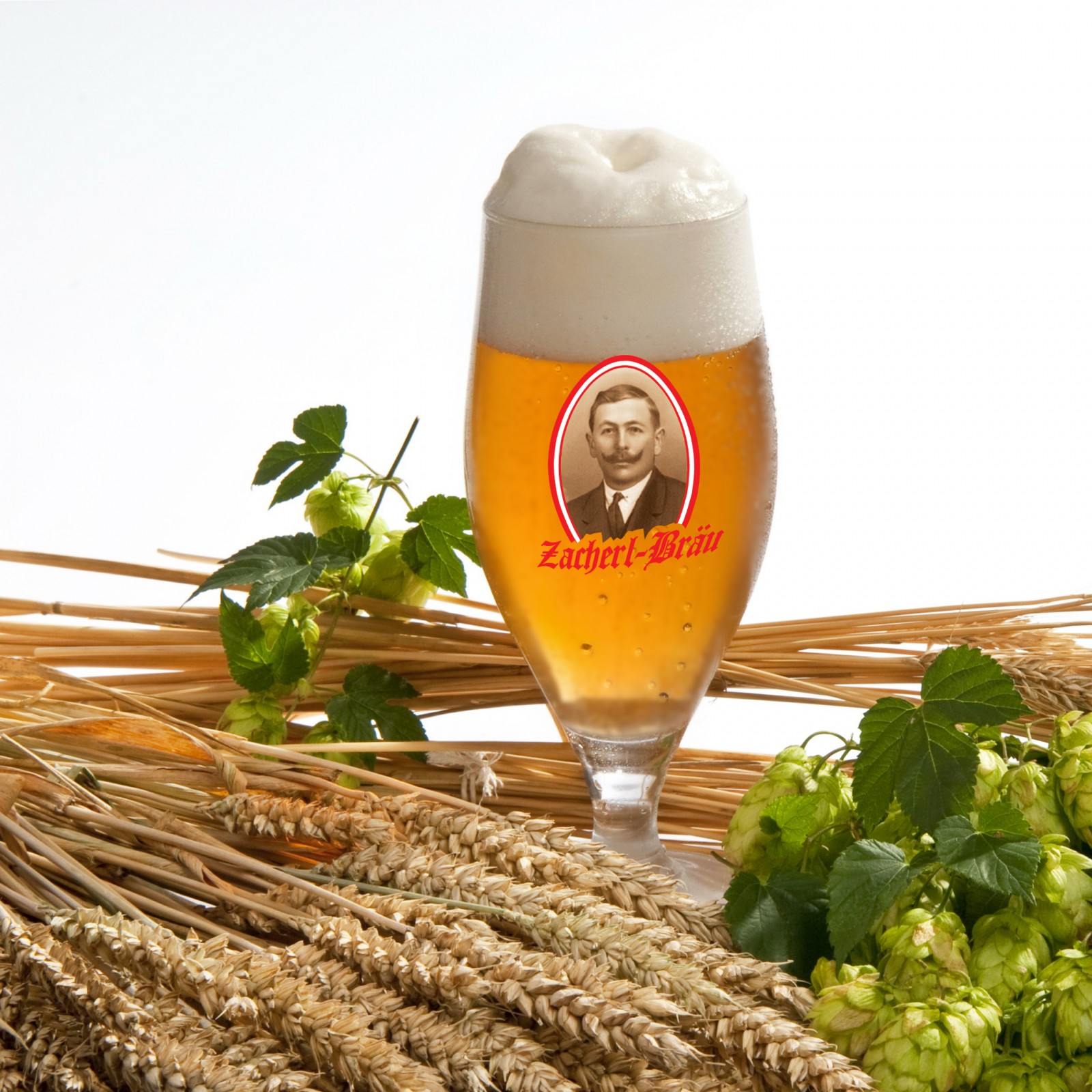 Zacherlbrau in Bruck, Foto 1