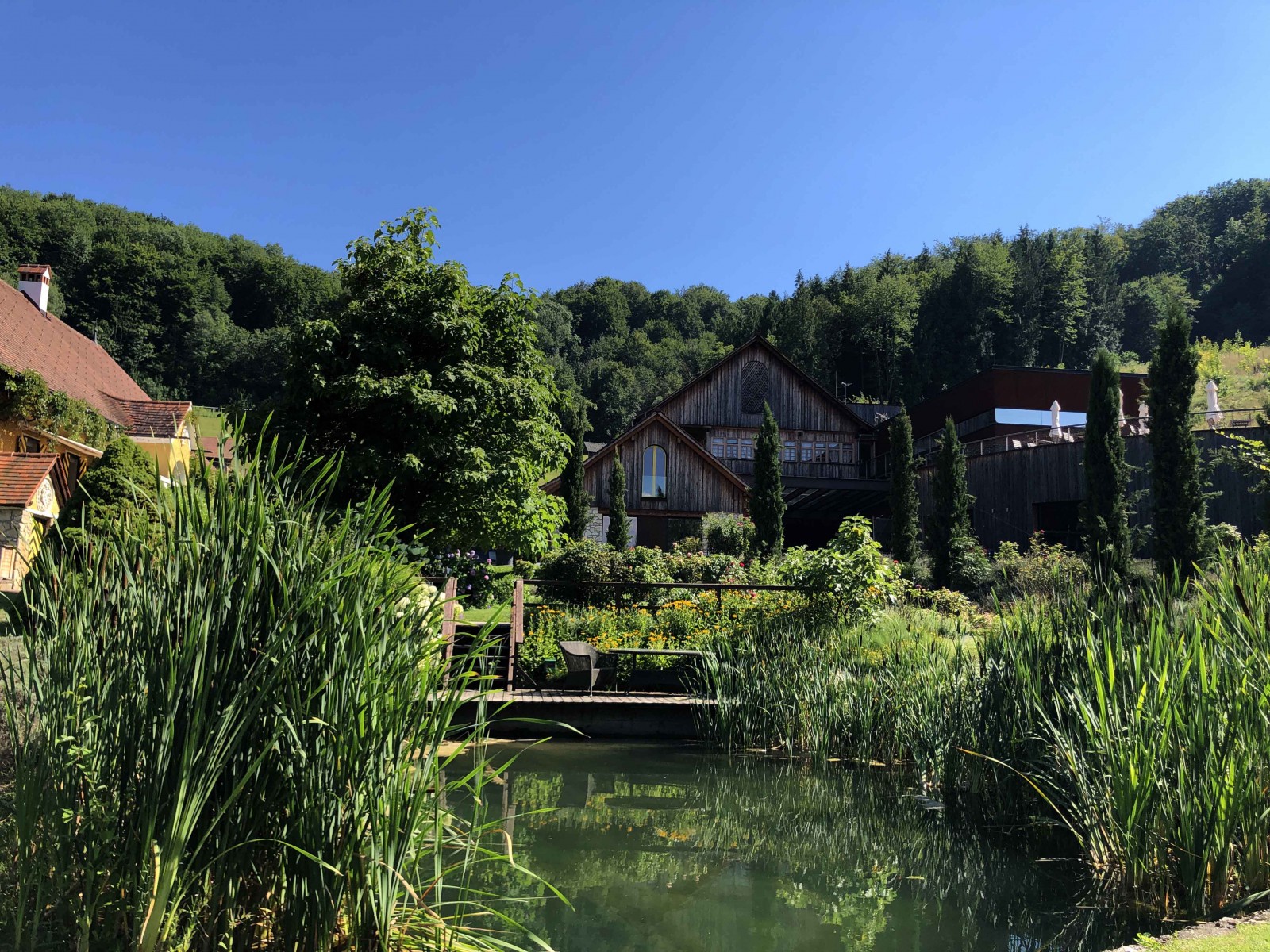 Weingut Georgiberg in Berghausen, Foto 10