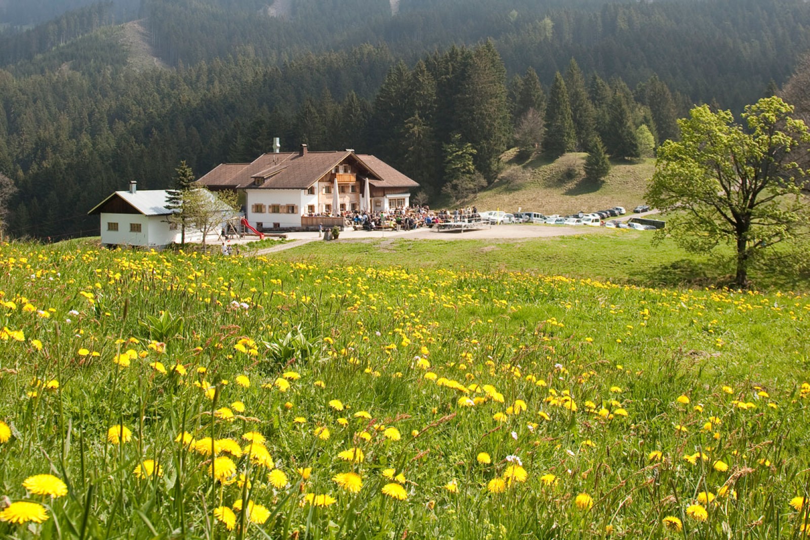 Millrutte Resort GmbH in Gotzis, Foto 2