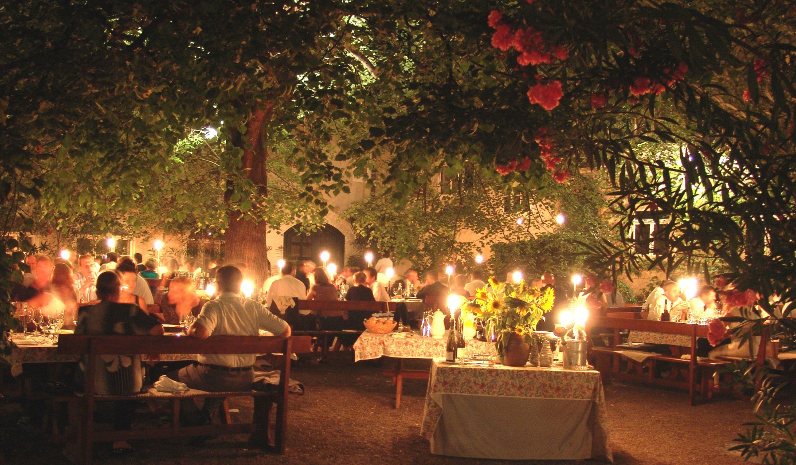 Restaurant Weinstube Nikolaihof Wachau in Mautern an der Donau